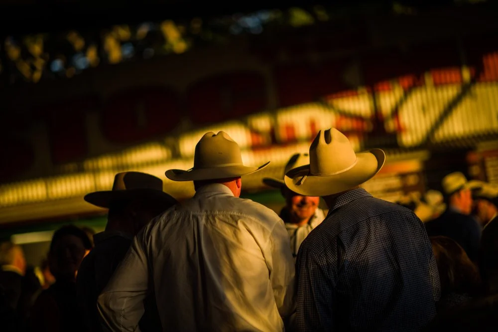 Cowboys talking stampede